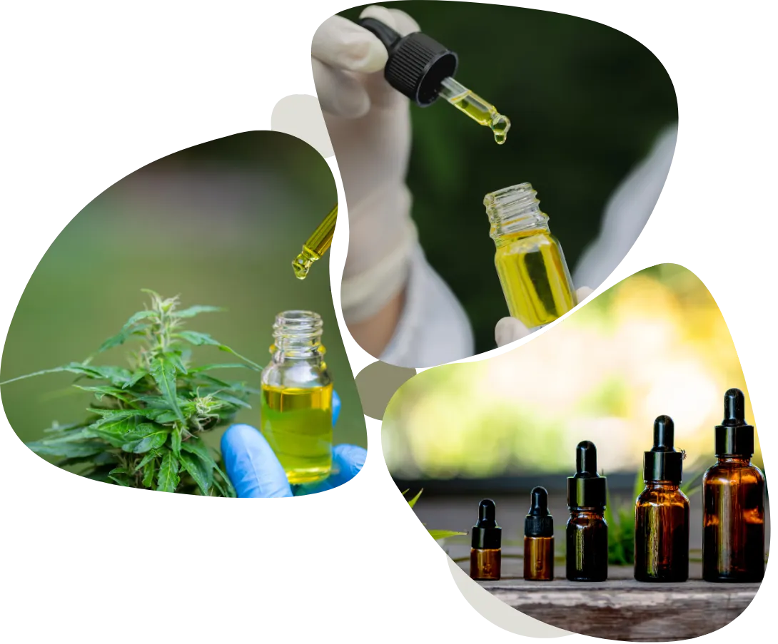 Composição com planta de cannabis, frascos âmbar e óleo medicinal